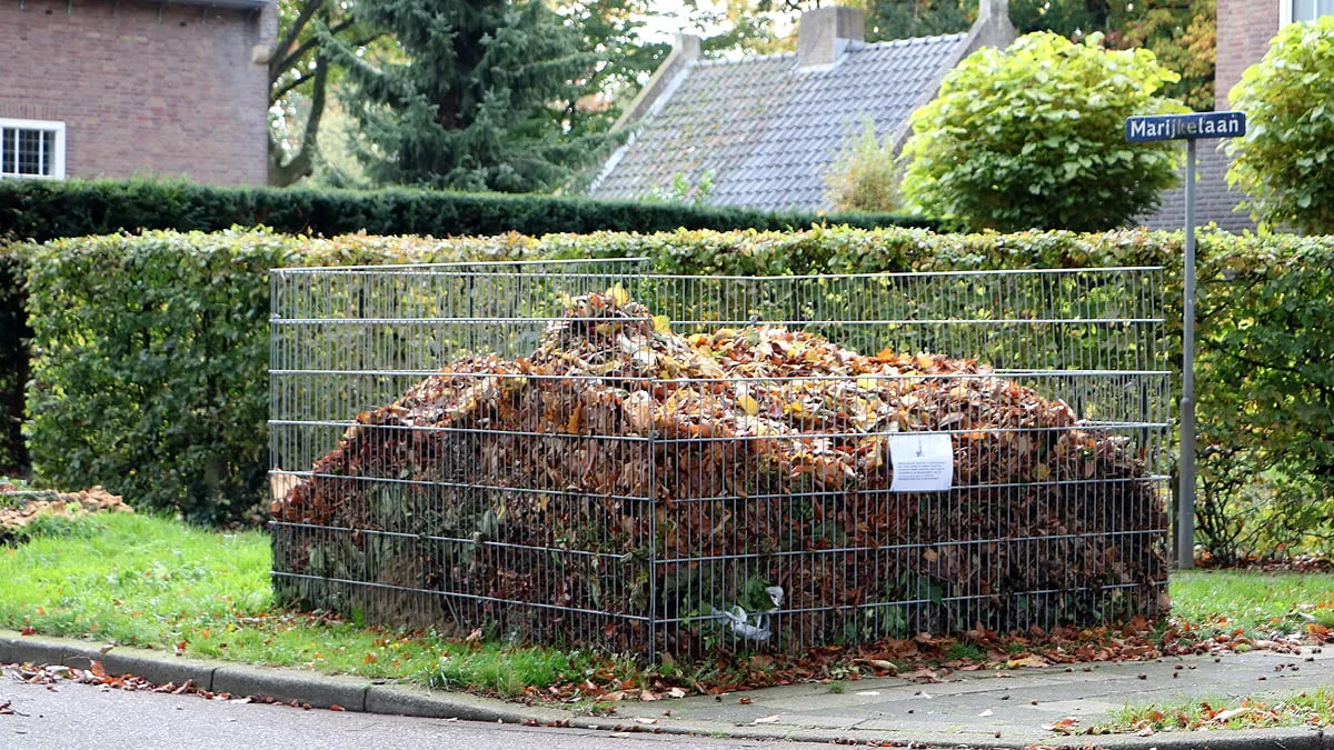 bladkorf hoek marijkelaan geleen