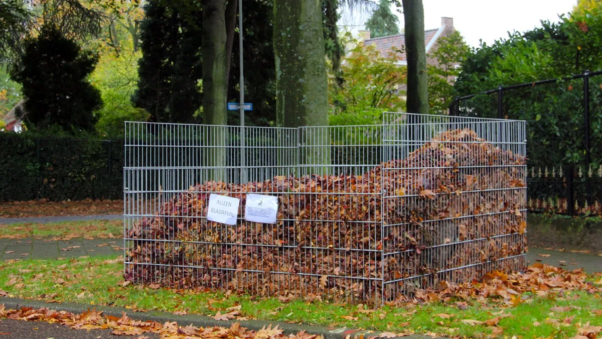 bladkorf in oud geleen