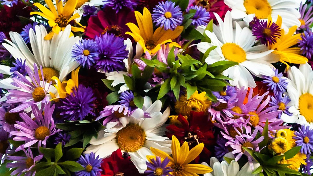 boeket bloemen