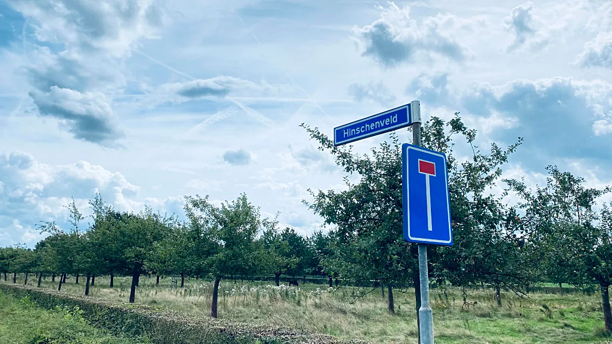 boomgaard hinschenveld bij limbricht