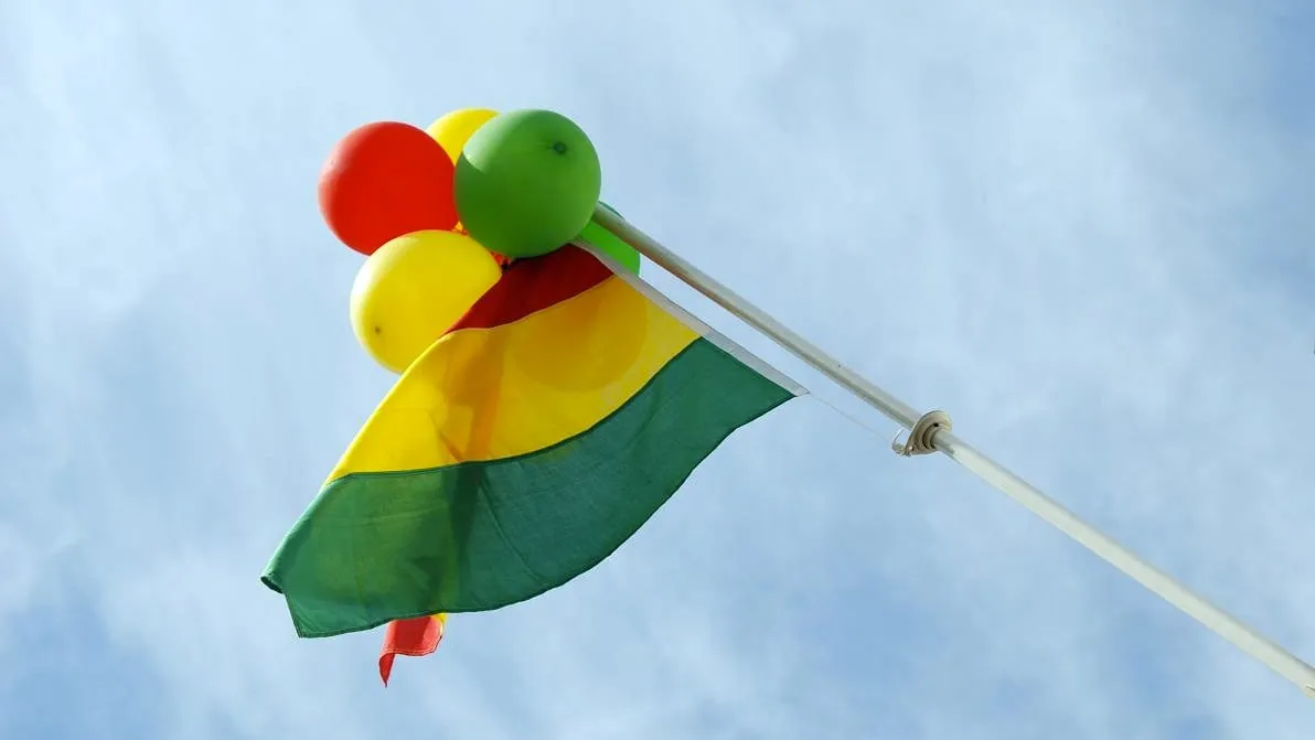 carnavalsdriekleu rood geel groen vlag