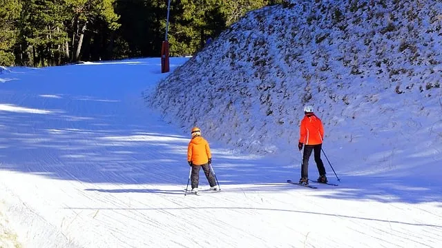 cc0 pixabay wintersport ski