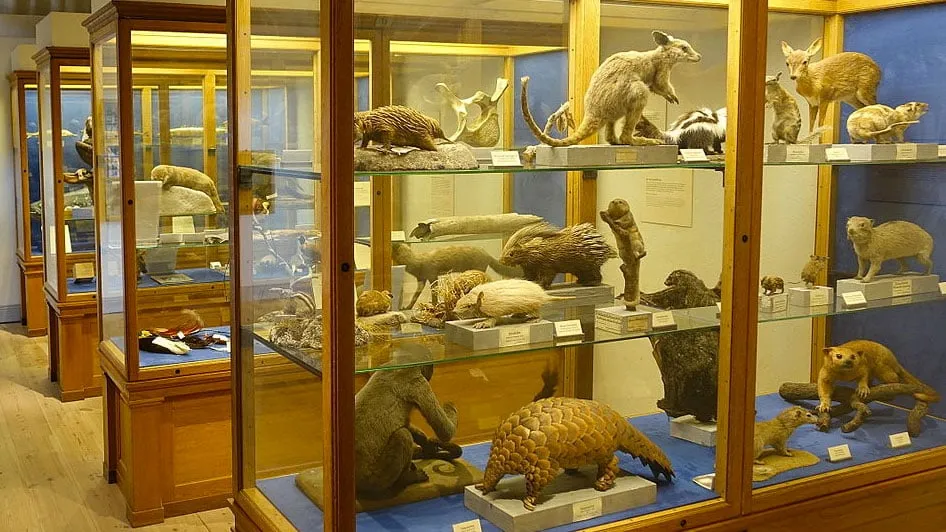 daderot cc0 een natuurkundig museum