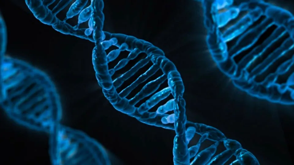 dna cc0 via pixabay