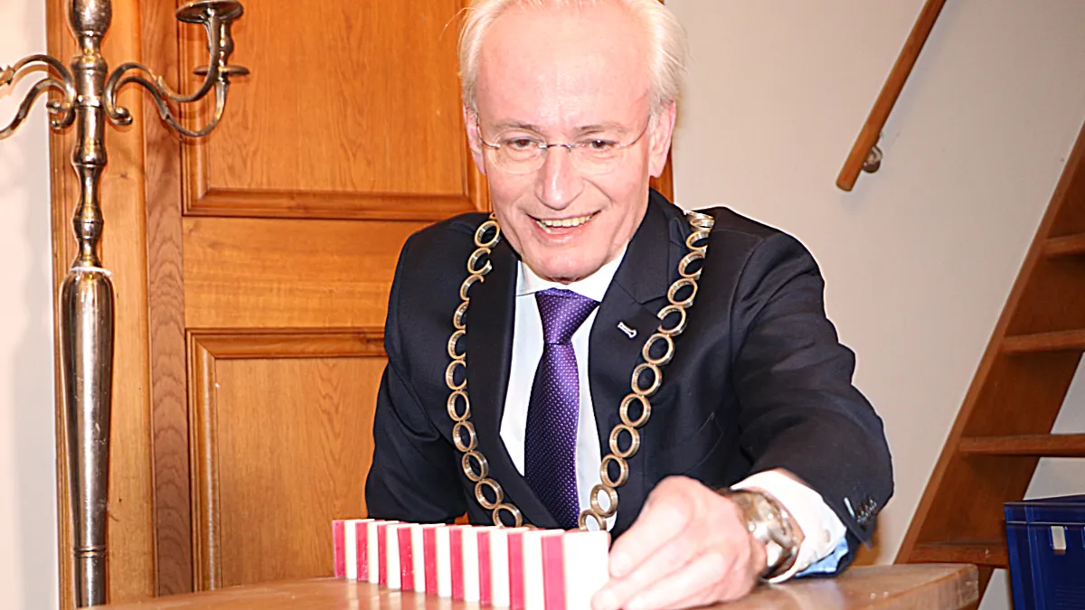 dominostenen hans verheijen
