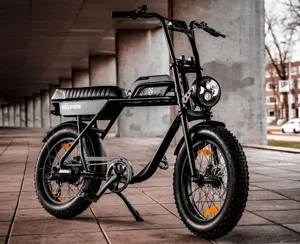 fatbike