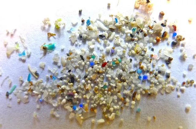 flickr 21282786668 f8f98915cc z microplastic oregon state university cc by sa 20