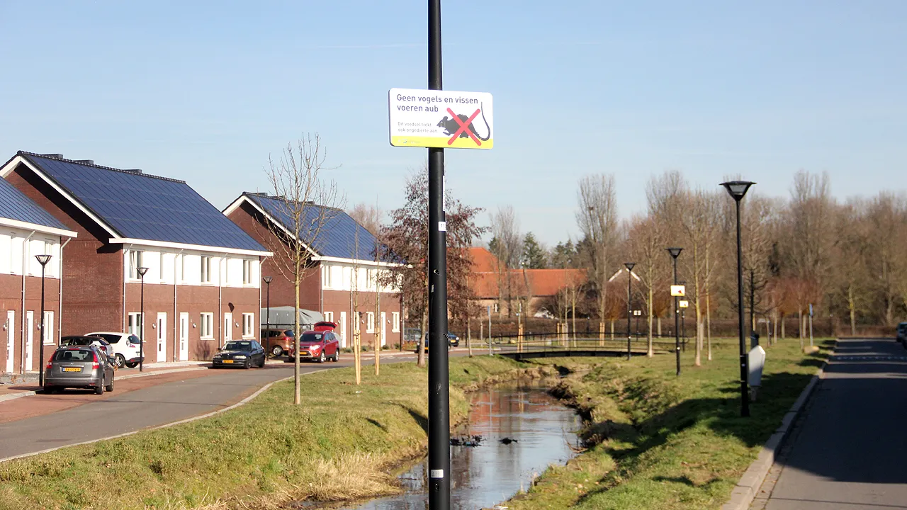 geen vogels en vissen voeren wegens ratten 2