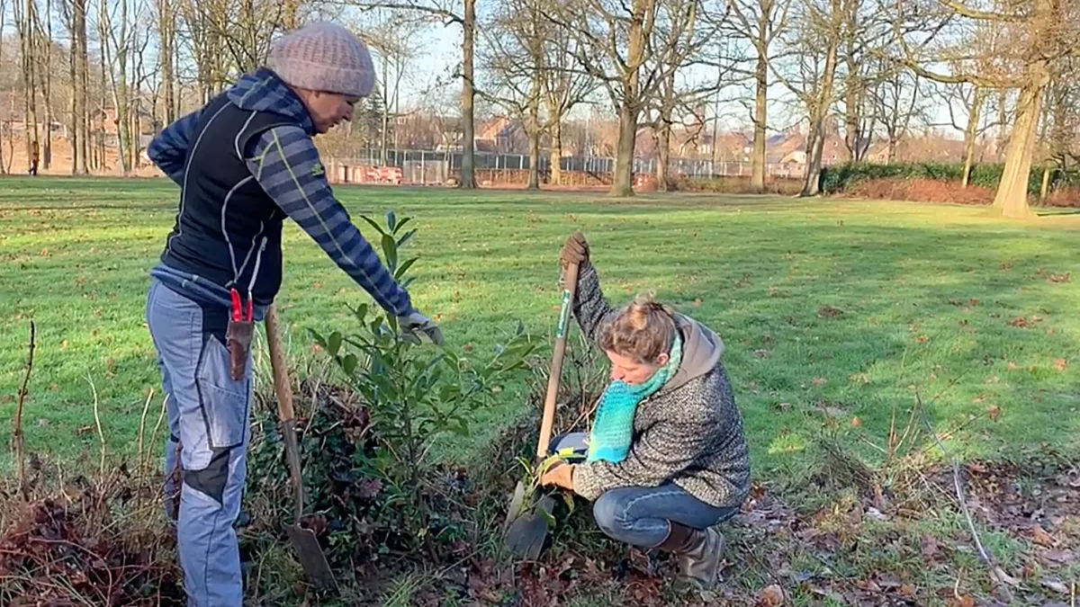 gered groen stadspark sittard