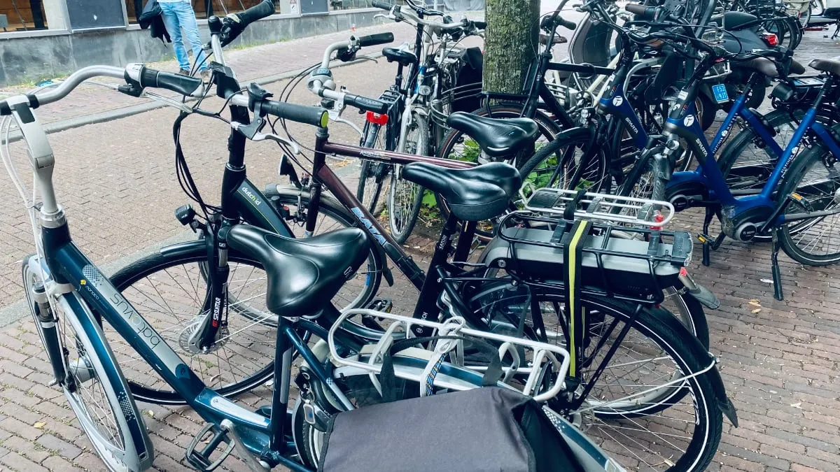 gewone fietsen en e bikes in sittard