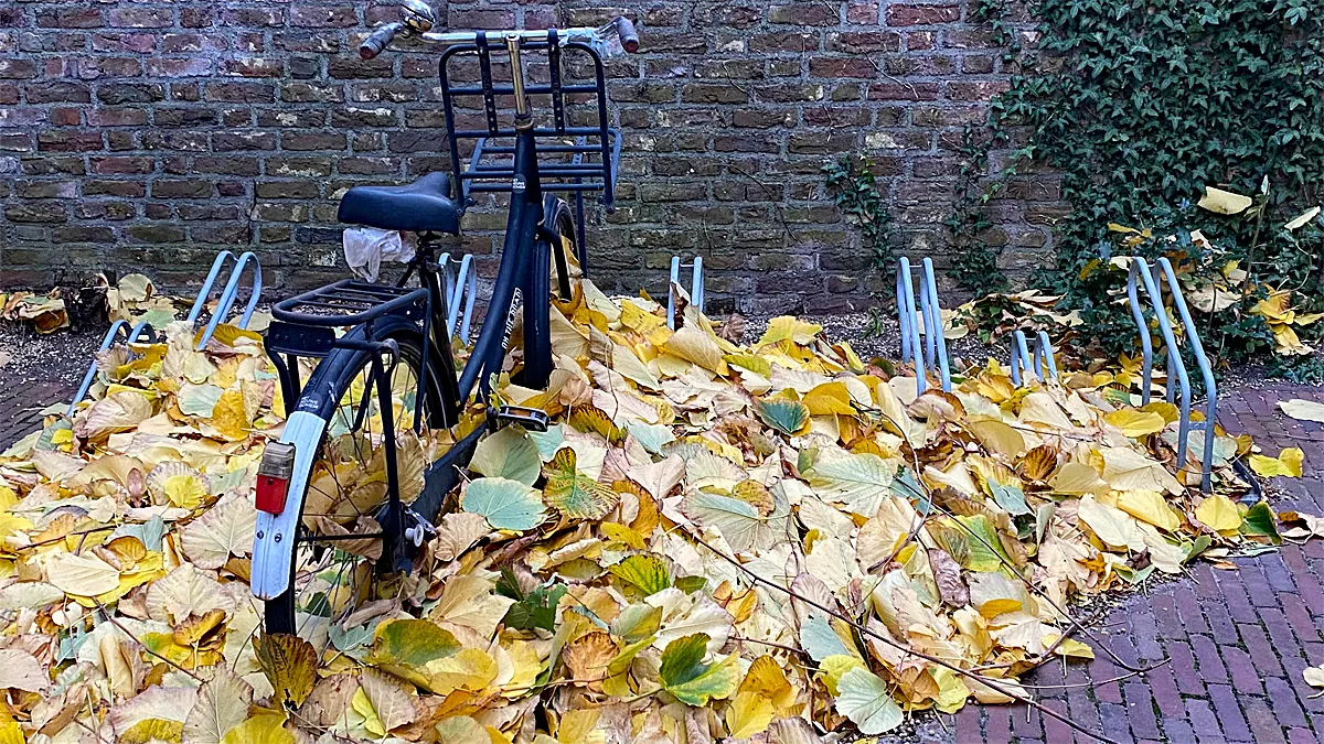 herfst herfststorm blaast bladeren op een hoop