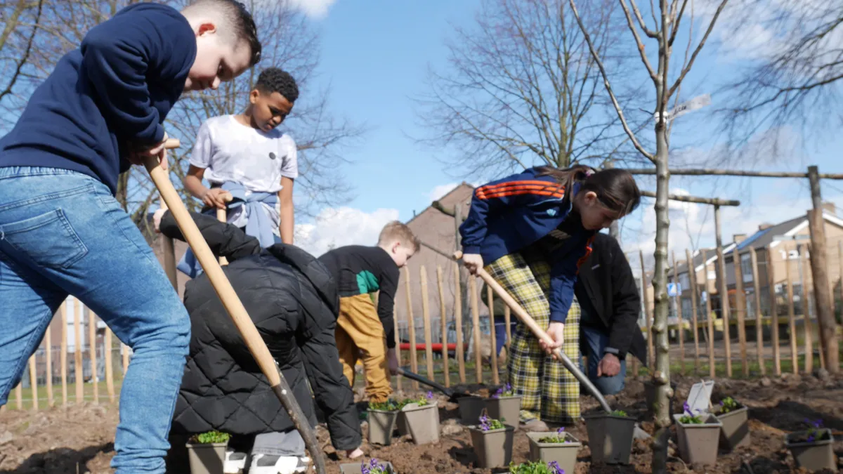 kcs aanplanten