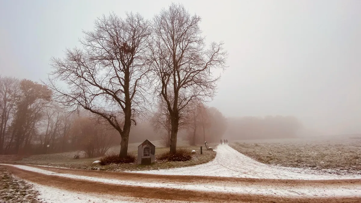 kollenberg 20221216 2