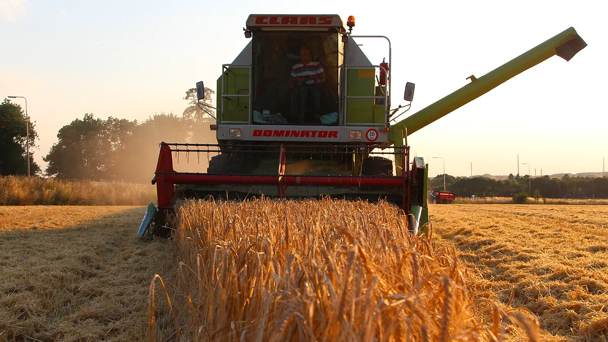 landbouw oogst spelt windraak guus queisen