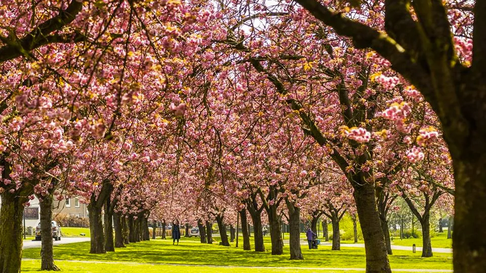 lente vijverweg sittard 2019 annet wagener