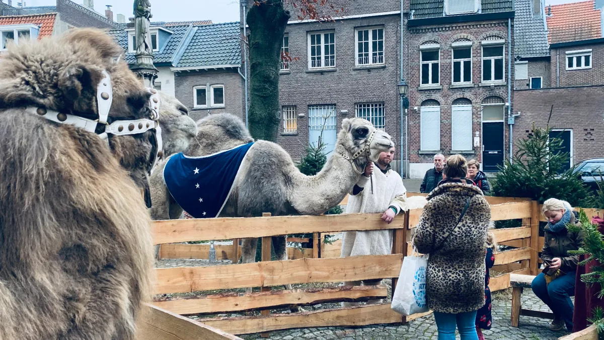levende kerststal kerkplein 1