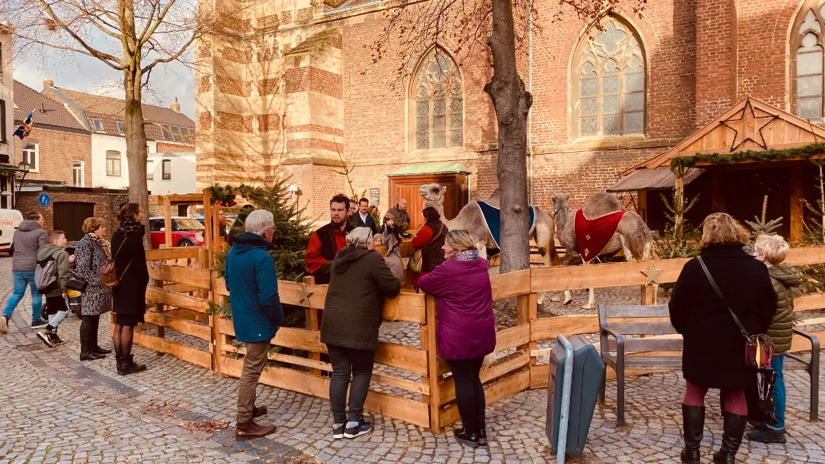 levende kerststal trok weer veel bekijks 2022