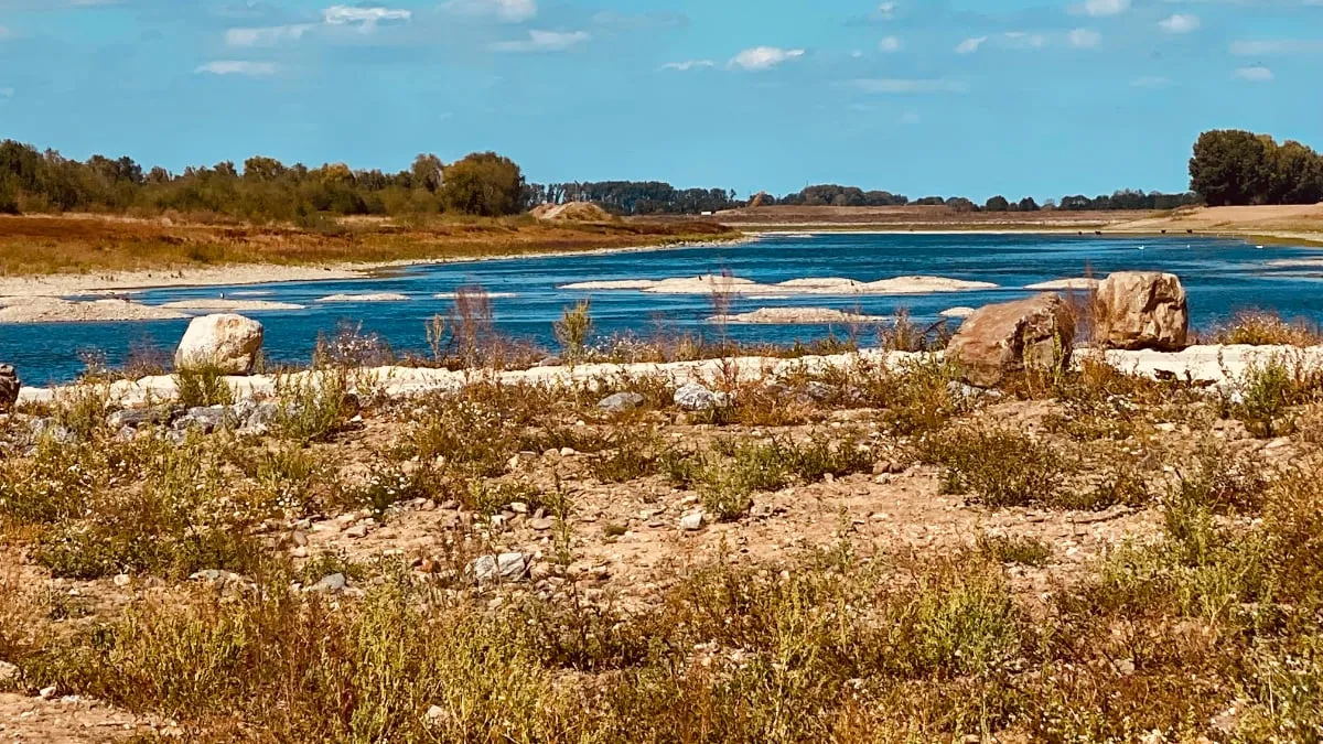 maas bij grevenbicht 8 augustus 2022 droogte 2