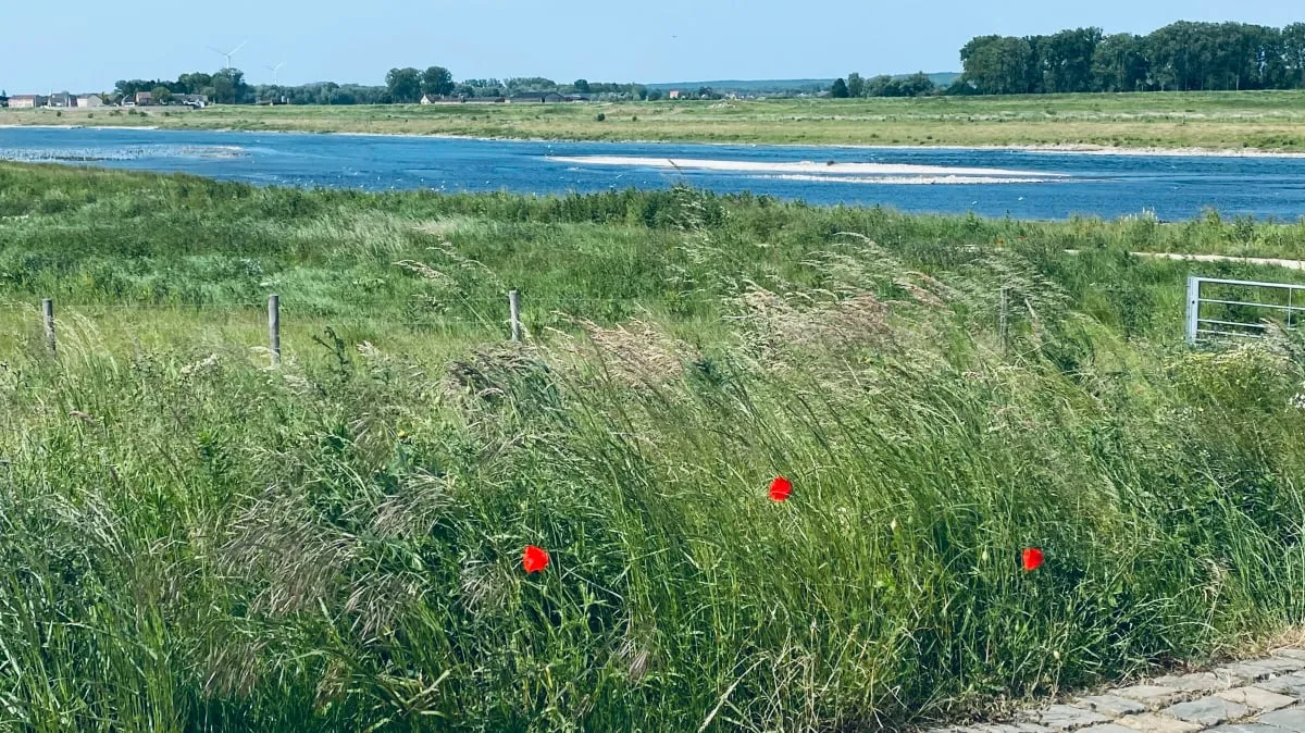 maas bij grevenbicht pinksteren 2023