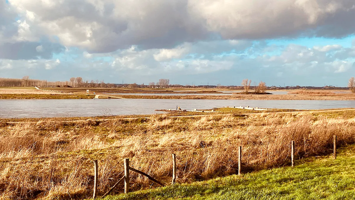 maas bij voetveer grevenbicht januari 2023