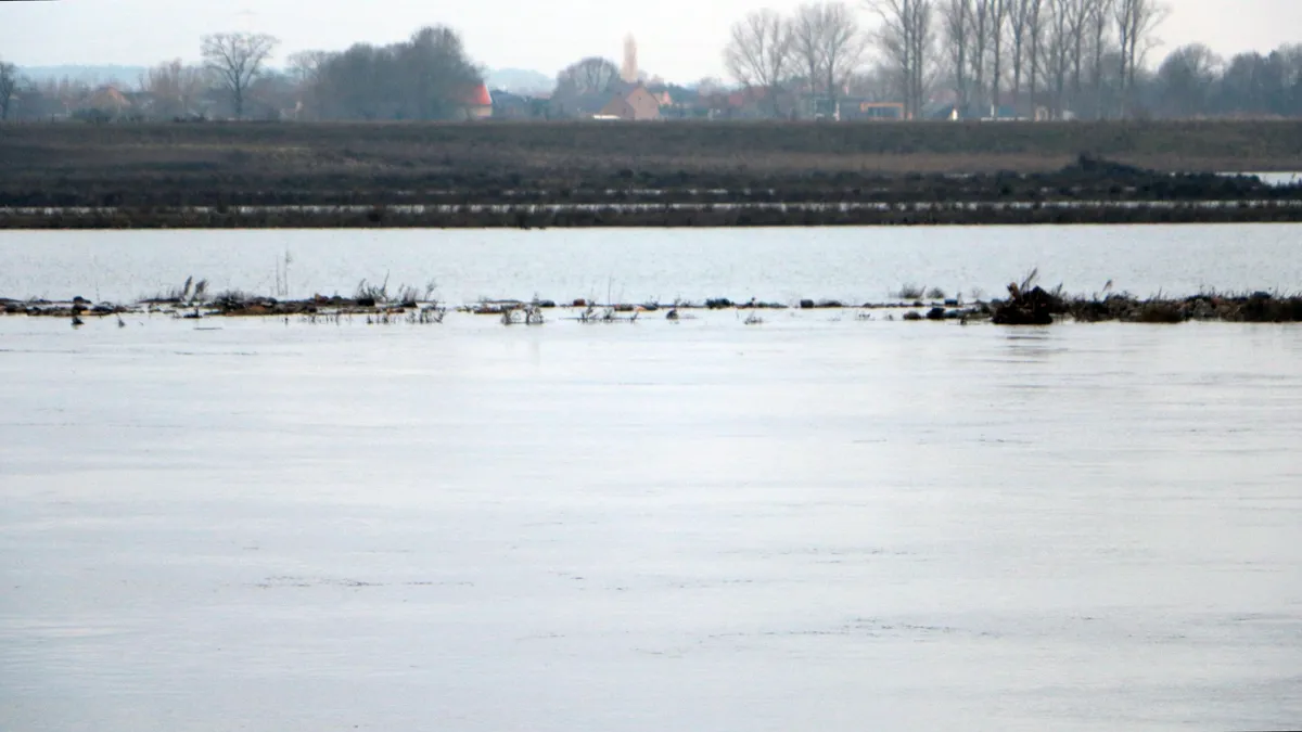 maas grevenbicht 29 december 2020 1
