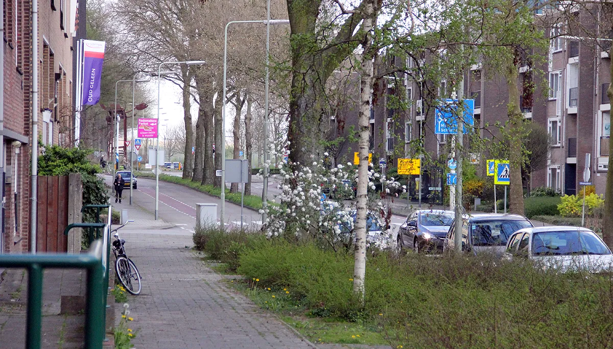 oranjelaan geleen voorjaar 2017