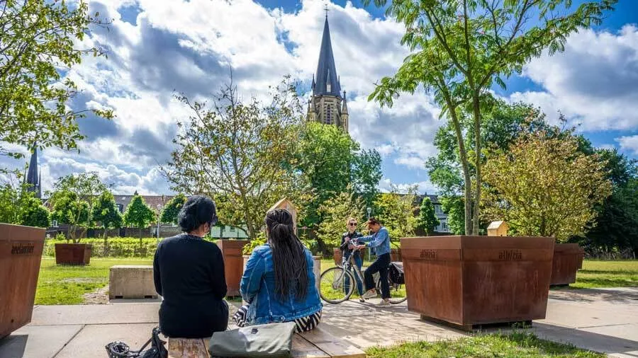 panorama terras evenemententerrein