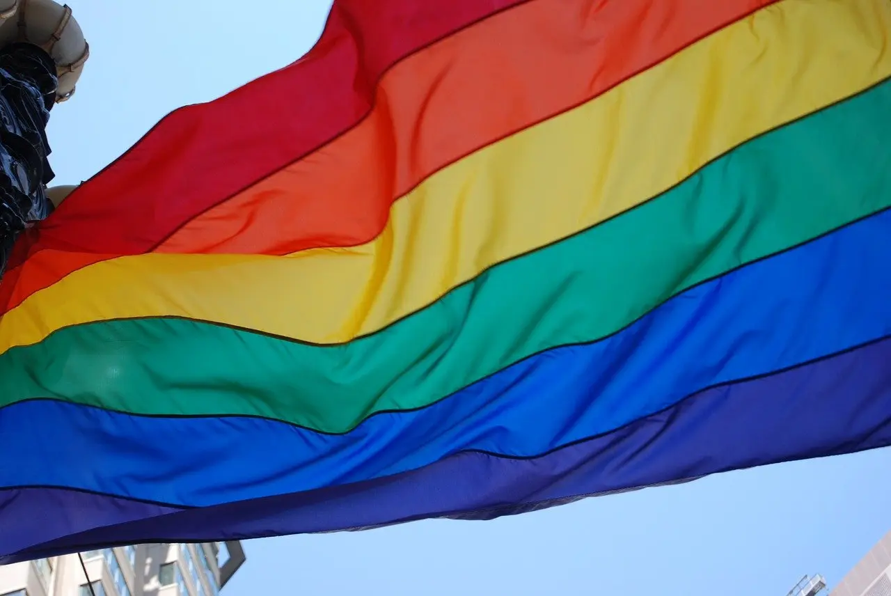 pride 828056 1280 regenboogvlag cc0 pixabay