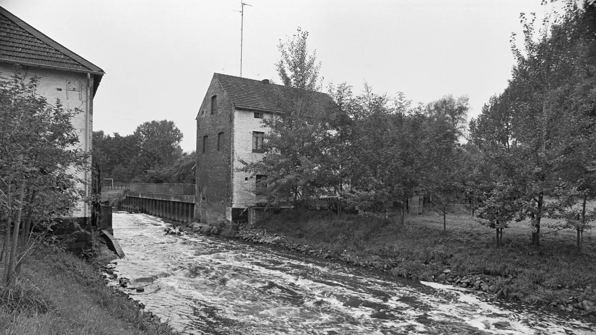rimburg worm