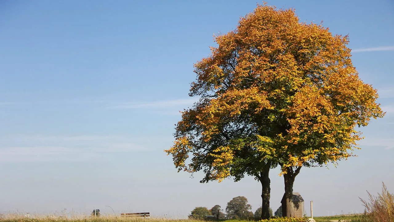 rustig herfstweer herfst kollenberg