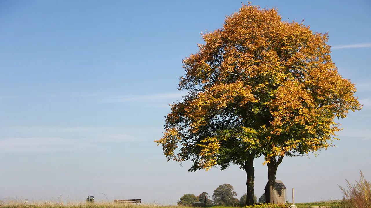 rustig herfstweer herfst kollenberg