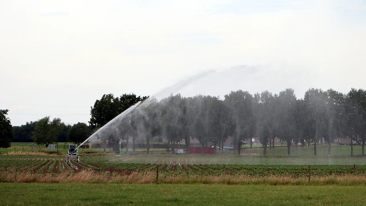 sproeien beregenen droogte akker