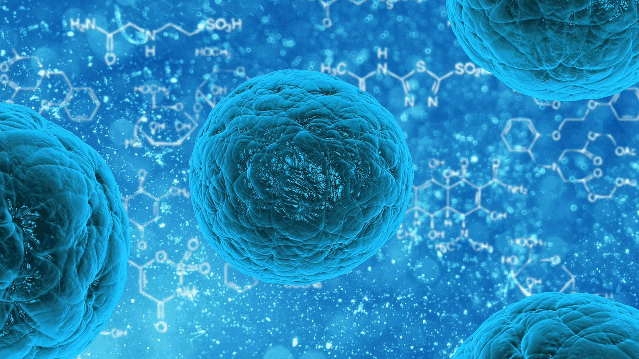 stem cell 163711 1280 stamcel cc0 pixabay