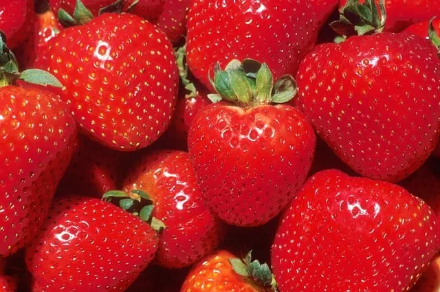 strawberries 387471 640 aardbeien cc0 via pixabay