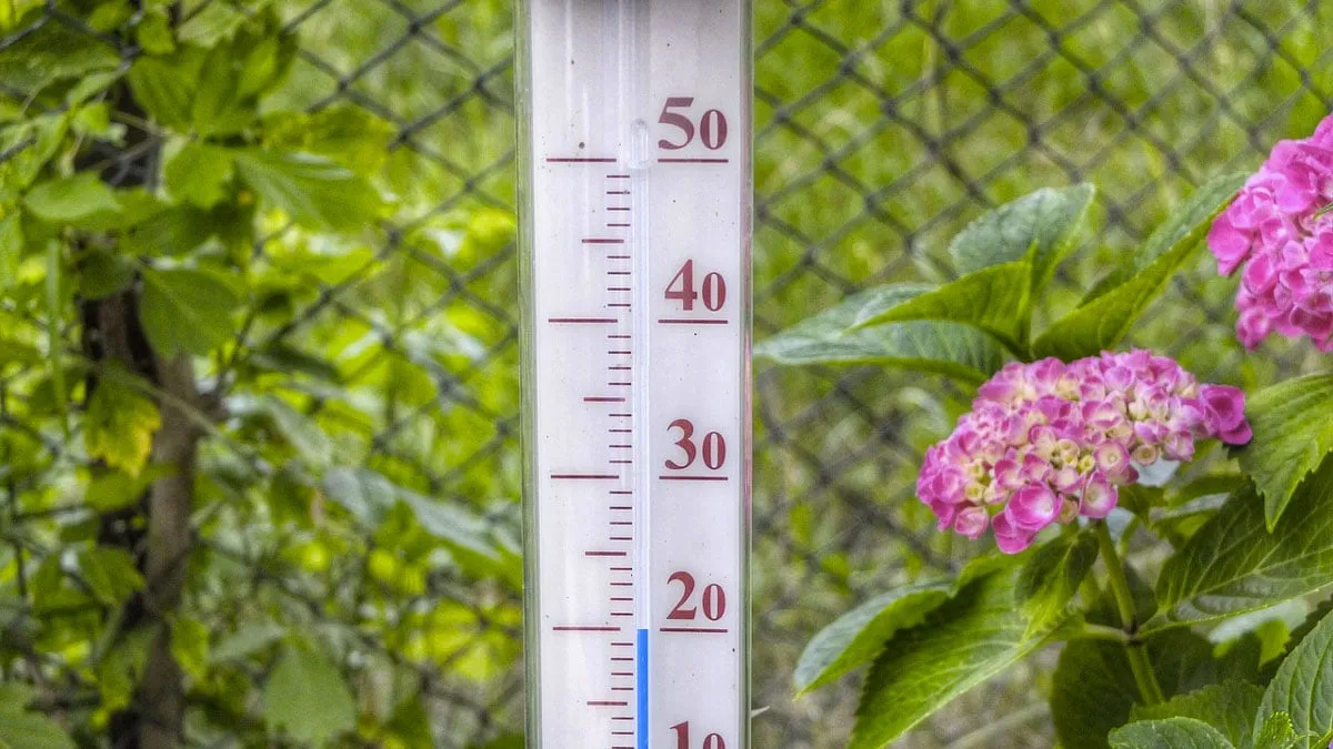thermometer 20 graden