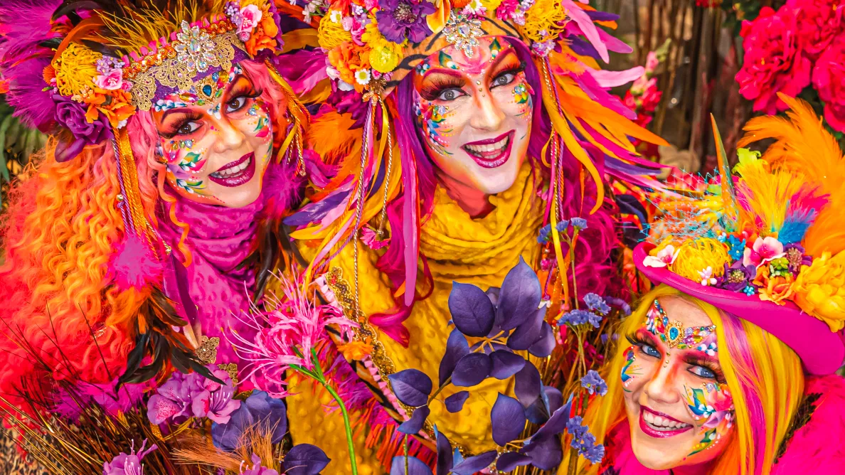 uitsnedejpg carnavalsposter felice gransier