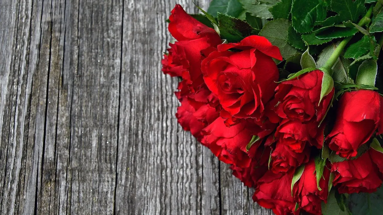 valentijnsboeket rode rozen cc0 gabor adonyi via pixabay