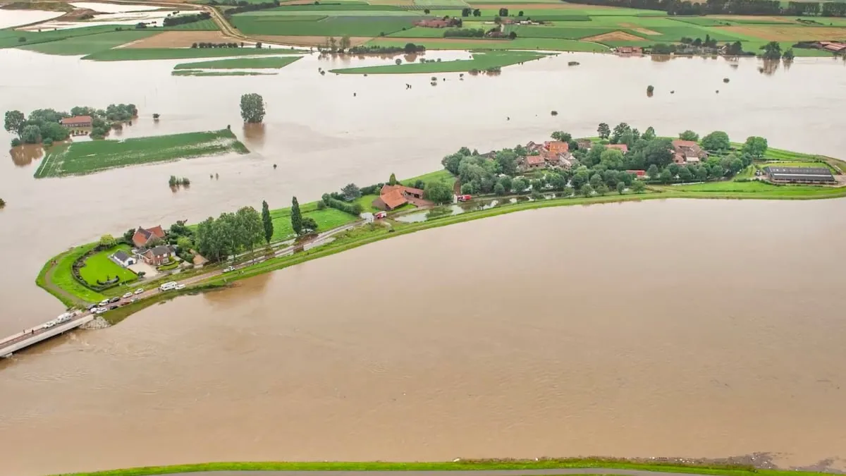 visserweert bij illikhoven