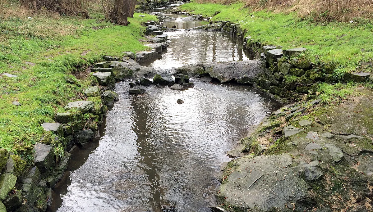 vistrap bij ophovenermolen