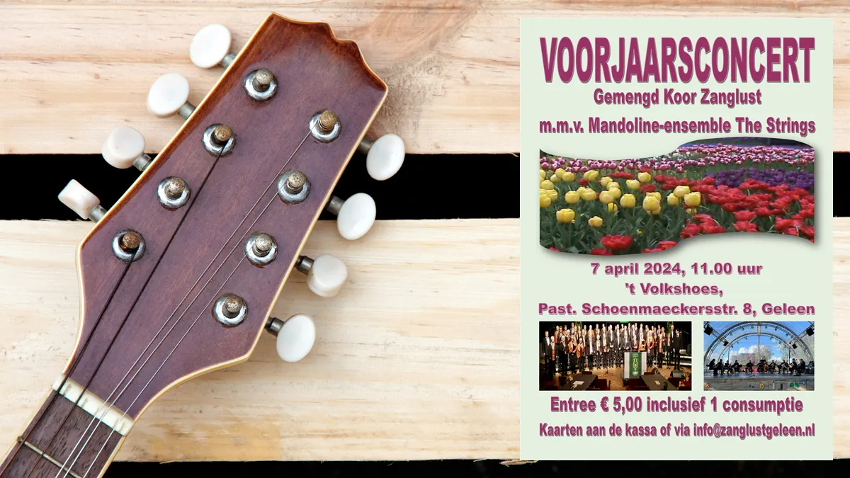 voorjaarsconcert hals snaren mandoline