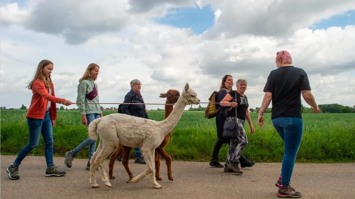 vrijwilligersweekend sittard geleen