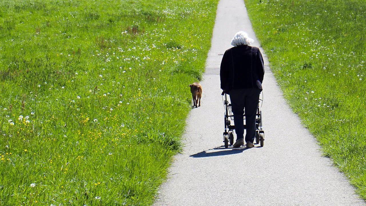 vrouw met hond en rollator cc0 pixabay