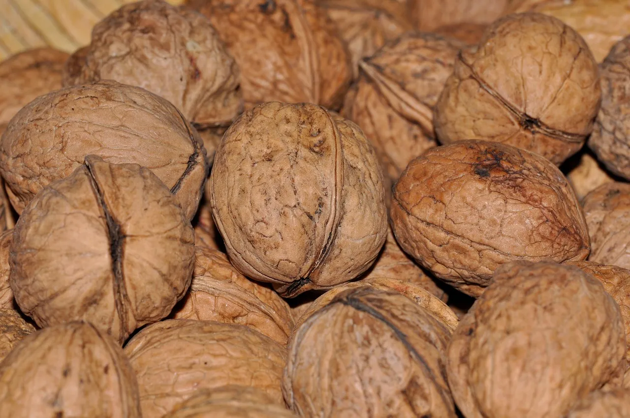 walnuts 612775 1280 walnoten cc0 pixabay
