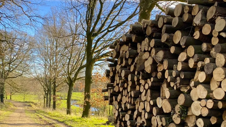 wandeling bij sweikhuizen met gilde de graven