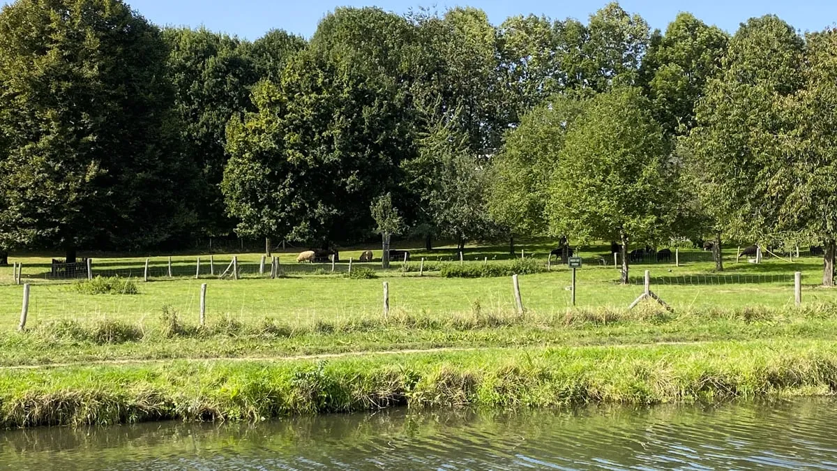 zomers nazomers beekdal sittard