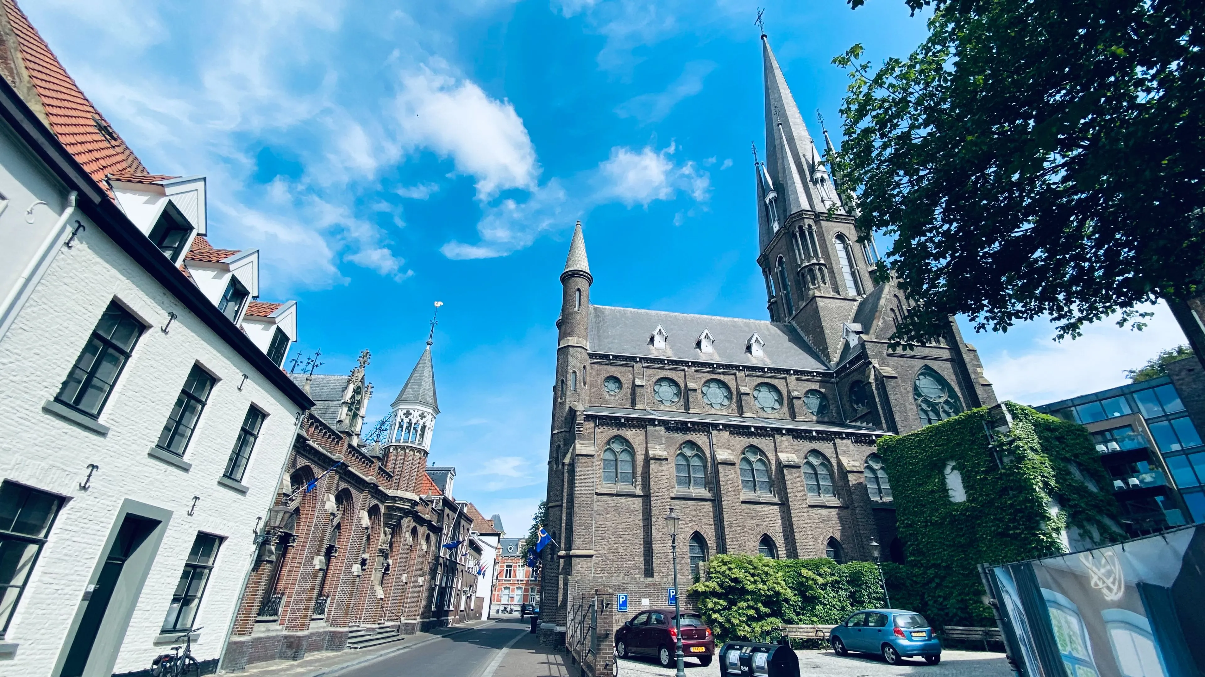 basiliek en mariapark