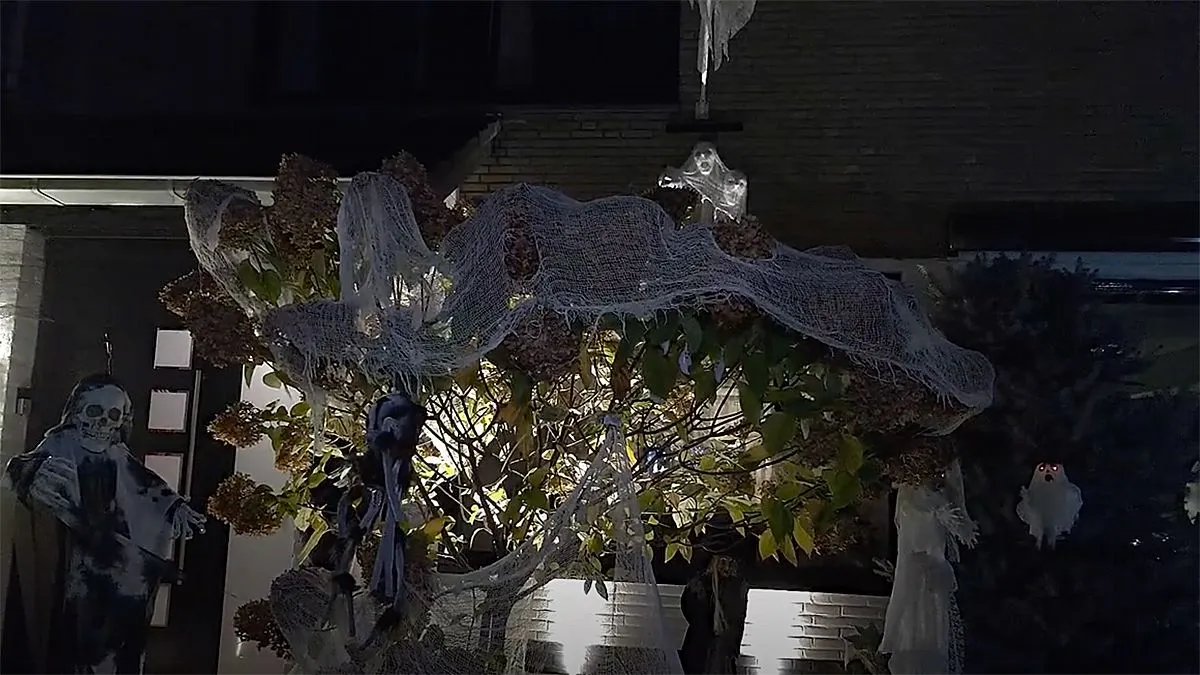 halloween in neerbeek