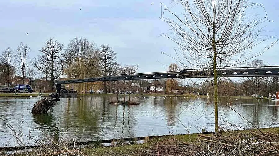 bosjes in de roeivijver voor beschermen jonge visjes