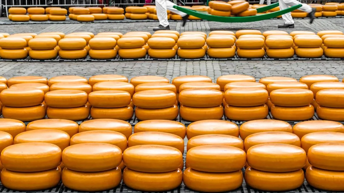 nederlandse kaas kaasmarkt alkmaar