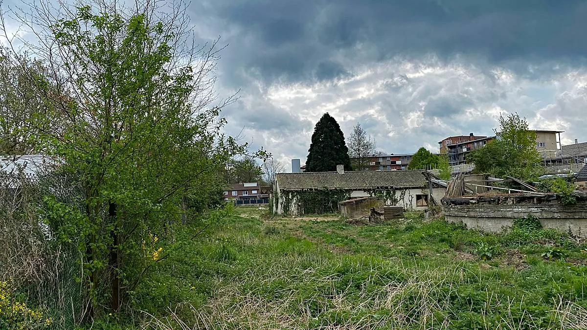 tudderenderweg 25 wordt tangelderhof